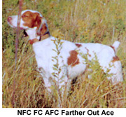 NFC Farther Out Ace