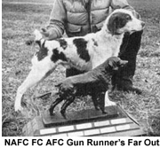 NAFC Gun Runner's Far Out