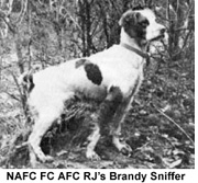 NAFC RJ's Brandy Sniffer