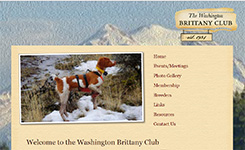 Southern New England Brittany Club